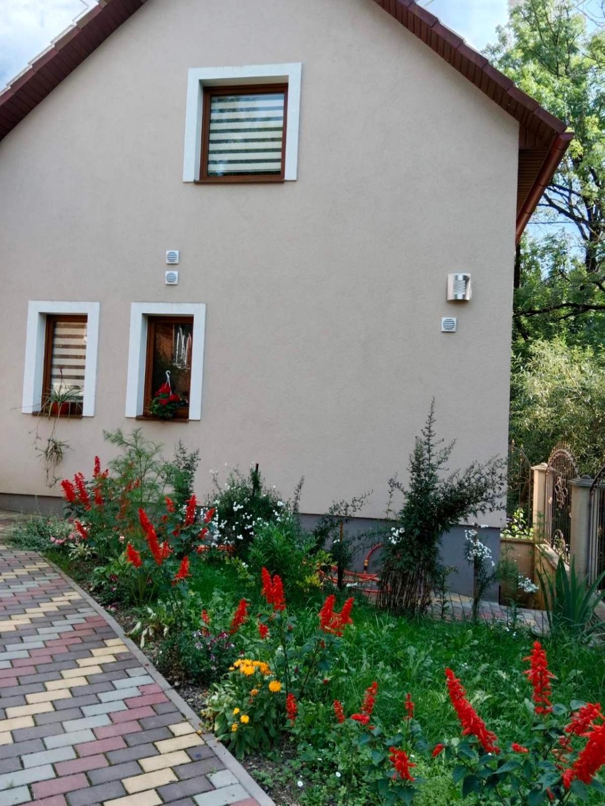 Cottage house Podoboveț Exterior foto